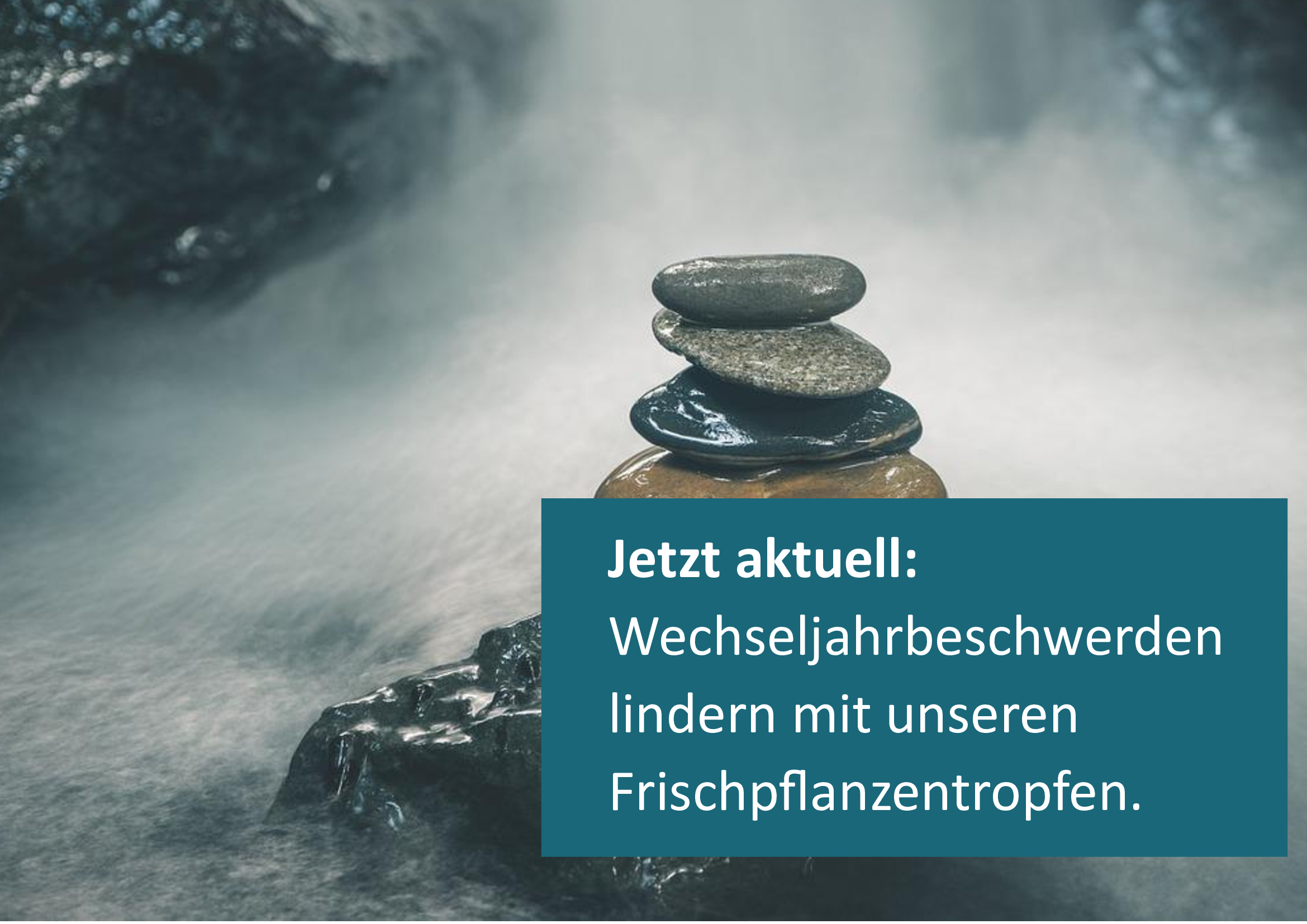Jetzt aktuell Wechseljahre